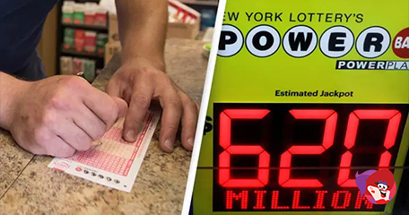 Kayleigh White profile image