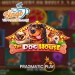 Kayleigh White profile image