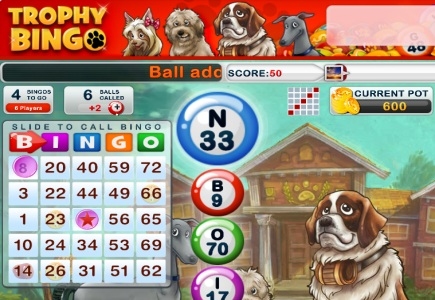 Social Bingo Game Trophy Bingo Goes Live in Beta Mode