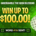 Alex Hoffmann profile image