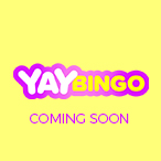 Andrej Vidovic profile image