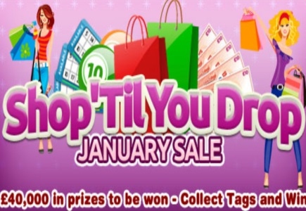 January at Bingo Cams