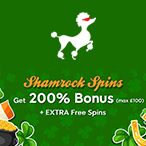 Kayleigh White profile image