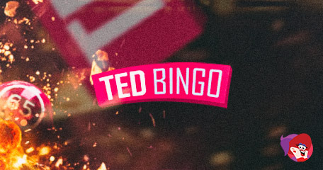 Where Did Ted Go? Loveable Bingo Mascot Given The Elbow