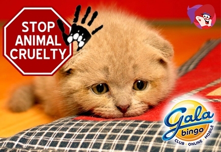 Gruesome Animal Discovery Behind Gala Bingo Hall