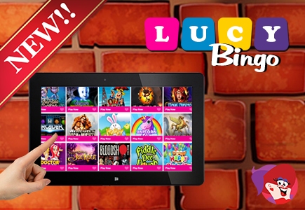 New Site: Lucy Bingo