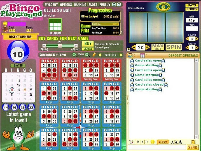 Bingo Playground Review