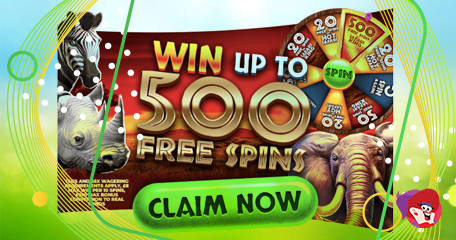 Kayleigh White profile image