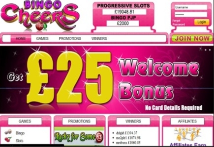 Bingo Cheers Scam
