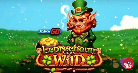 Kayleigh White profile image