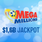 Andrej Vidovic profile image