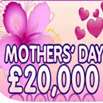 Ava Jackuard profile image