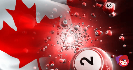 Kayleigh White profile image