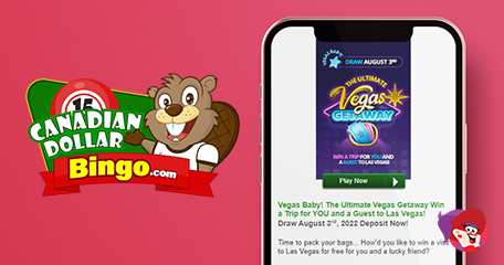 Kayleigh White profile image