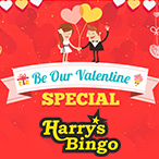 Natalie Stephanopoulos profile image