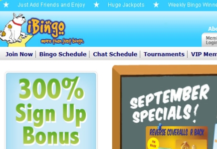 New Bingo Site in UK Market