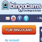 Latest Bingo Bonuses profile image