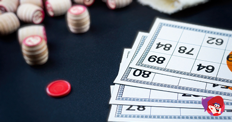 Kayleigh White profile image