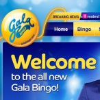 Glo Wood profile image