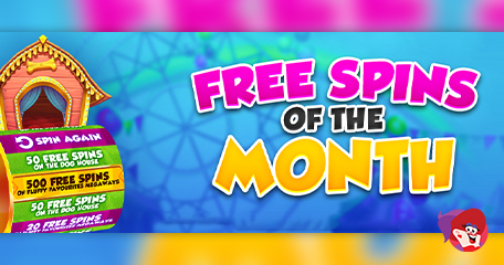 Kayleigh White profile image