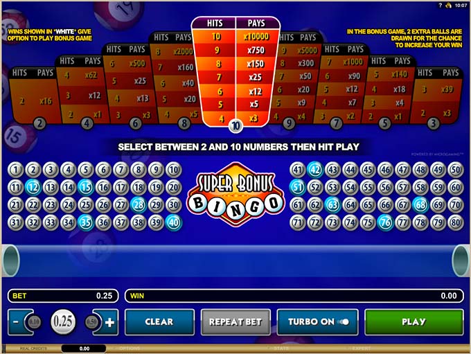 Wintingo Bingo Review