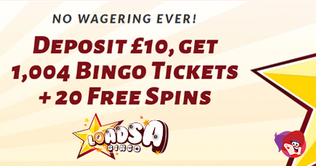 Kayleigh White profile image