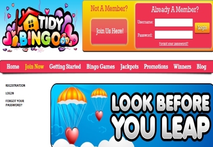Look Before You Leap at Tidy Bingo