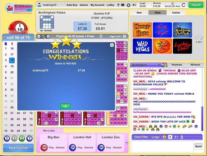 Scrummy Bingo Review