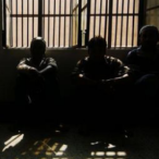 Glo Wood profile image