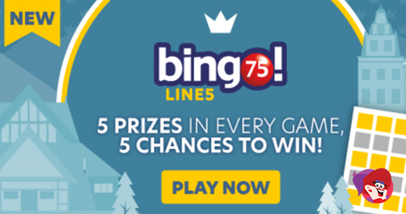 Kayleigh White profile image