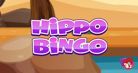 72 Chances to Cash for Free in Daily Hippo Bingo Promos