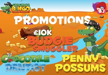 Three Ways to Win with Crocodile Bingo