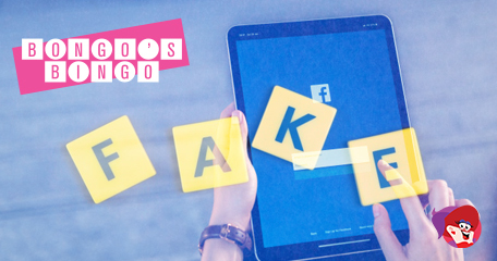 Kayleigh White profile image