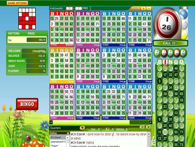 Bingo Flash Review