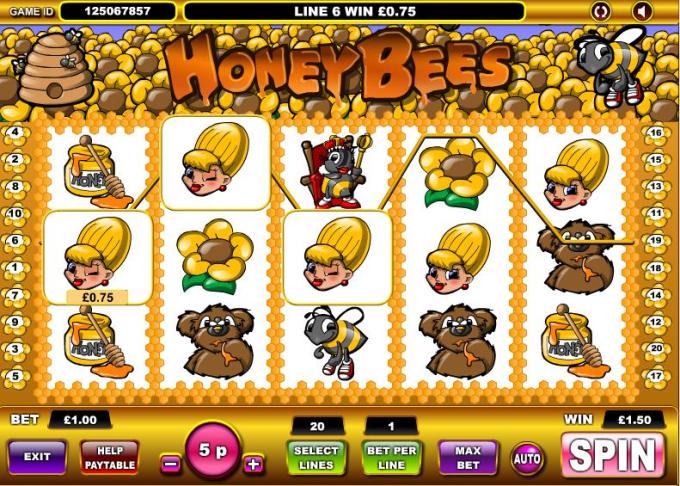 House of Bingo Review