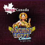 Andrej Vidovic profile image