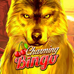 Kayleigh White profile image