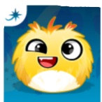 Ava Jackuard profile image