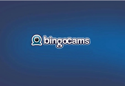 Bingocams Commission Interesting Report