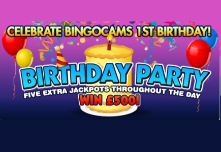 Bingocams Celebrates First Birthday