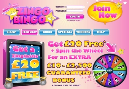 Zingo Bingo is Live