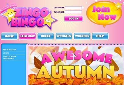 New Promo at Zingo Bingo for Amazing Autumn