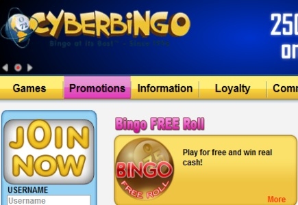 Cyber Bingo Offers Big Things in November