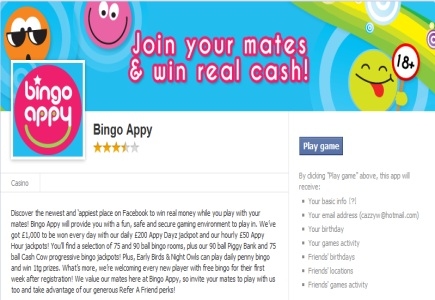 Facebook Launches Bingo Appy