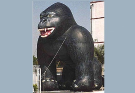 King Kong and Bingo Don’t Mix says Thanet Council