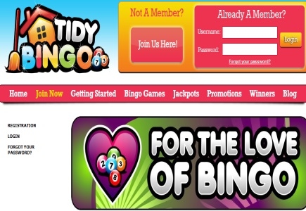 For the Love of Bingo at Tidy Bingo