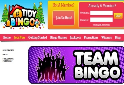 Team Bingo Nights At Tidy Bingo
