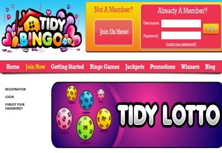 A Lotto Reasons to Log On at Tidy Bingo