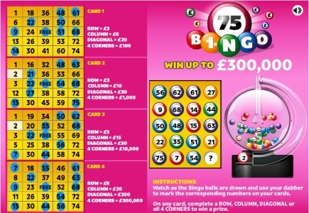 National Lottery Online Bingo Player Wins £300K