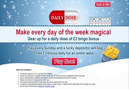 Grab Your Daily Dose of Bingo at Bingo3X